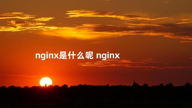 nginx是什么呢 nginx